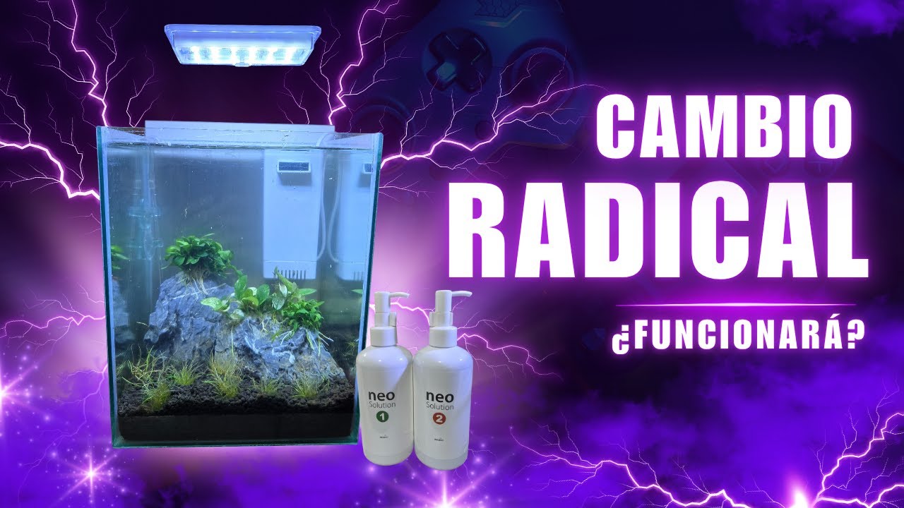 CAMBIO de AQUASCAPING en ACUARIO PLANTADO - Cómo Replantar, Abonar y Cuidar Plantas Acuáticas FÁCIL