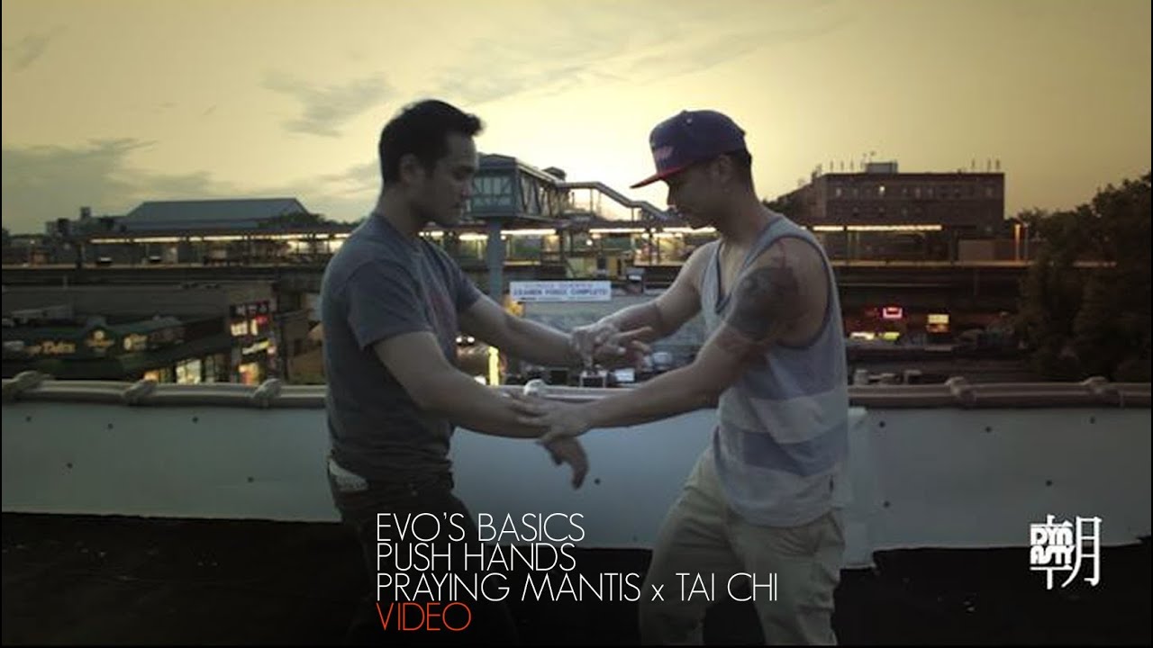 Push Hands - Praying Mantis vs Tai Ji Quan