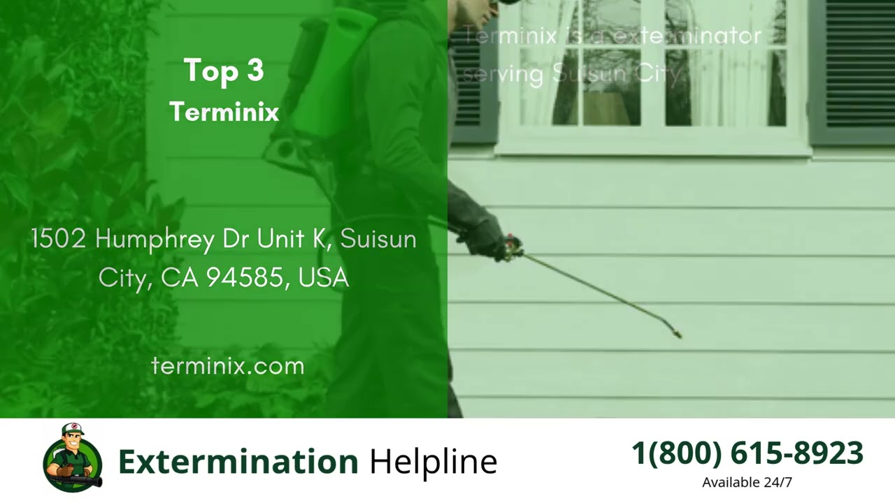 Top 3 Exterminators in Suisun City