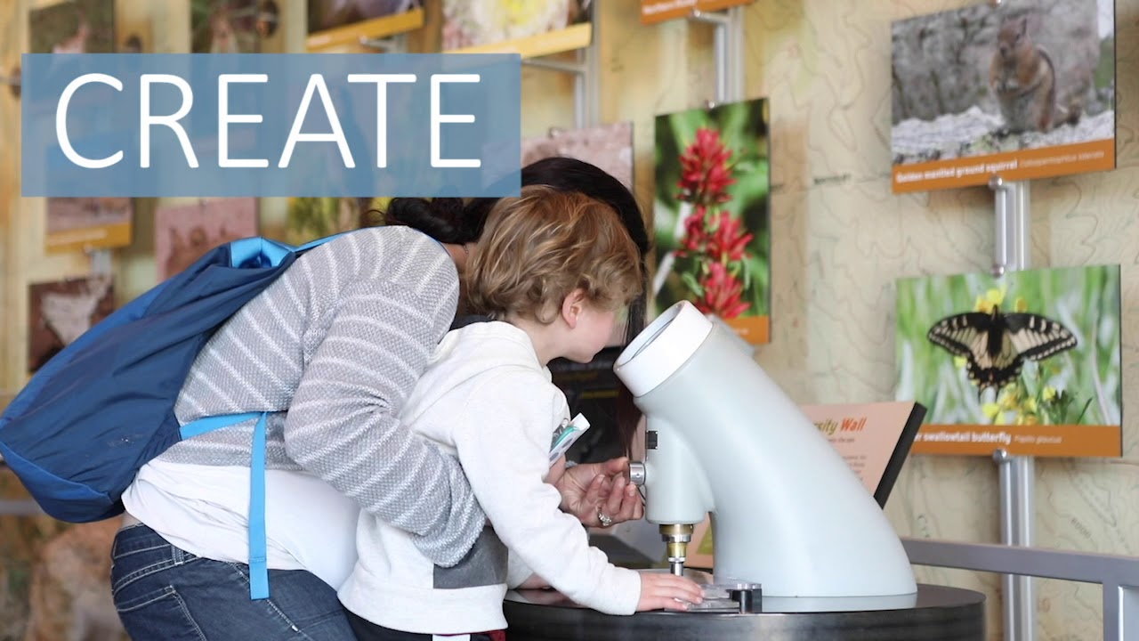 Explore. Create. Discover.