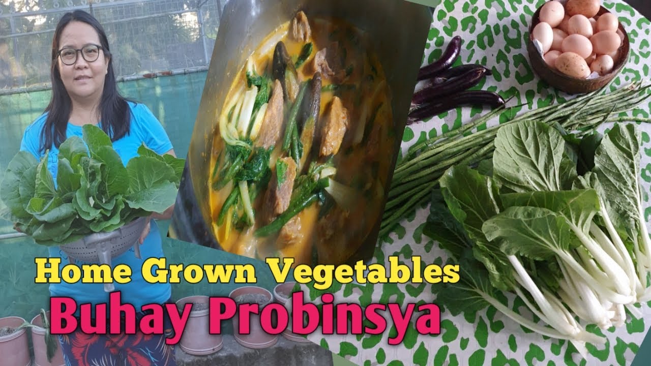A Delicious Meal for my Family | Freshly Harvested Vegetables Put in Our Table @tinalikesNhappiness 