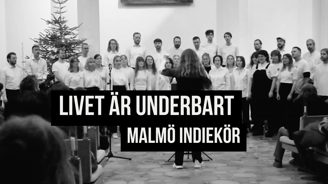 Livet är underbart - Vit päls - Malmö indiekör 2024 - choir cover
