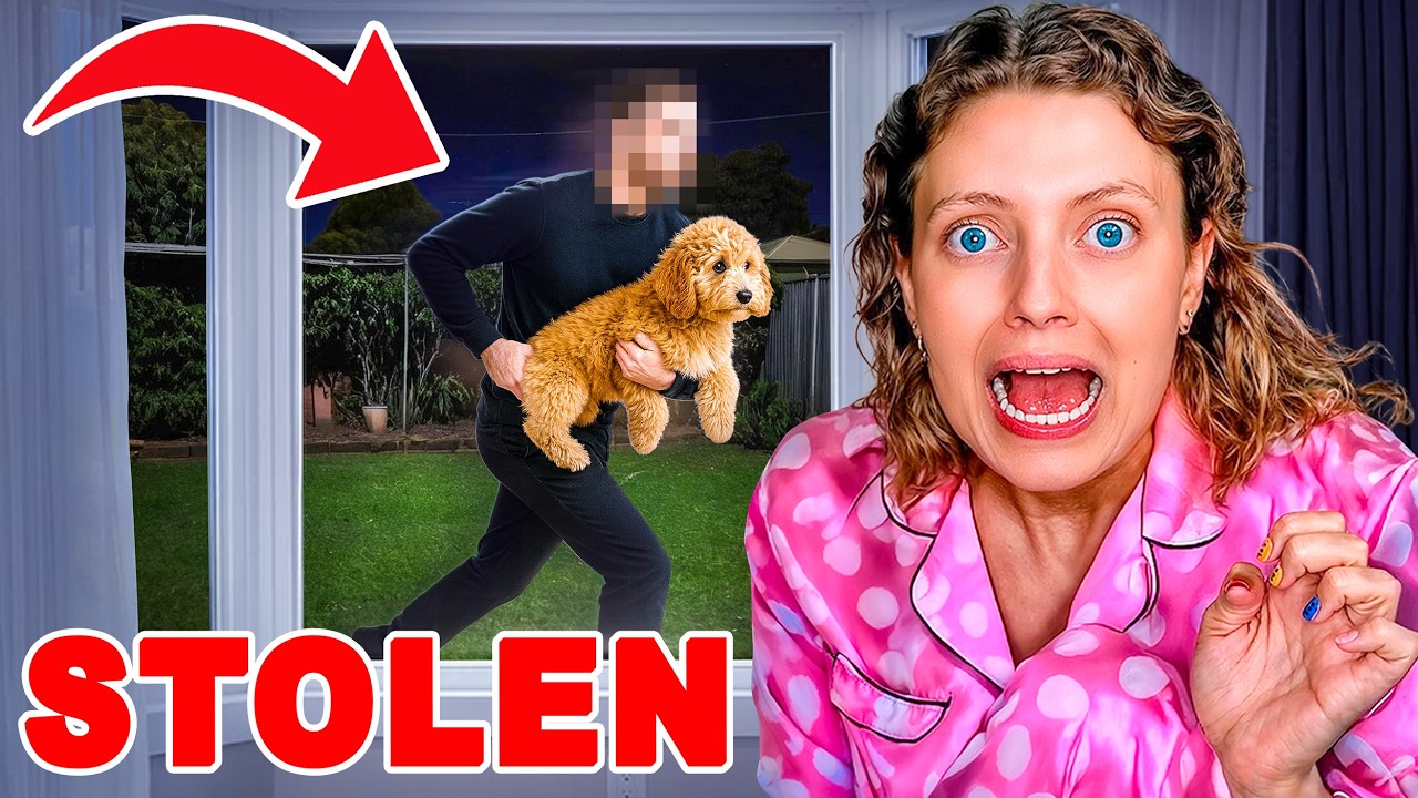 Creepy Stranger STOLE My Dog?!