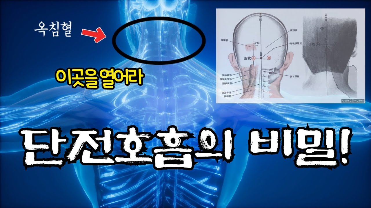 이 경락(혈)을 여는데 단전호흡의 비밀이 숨어 있다!