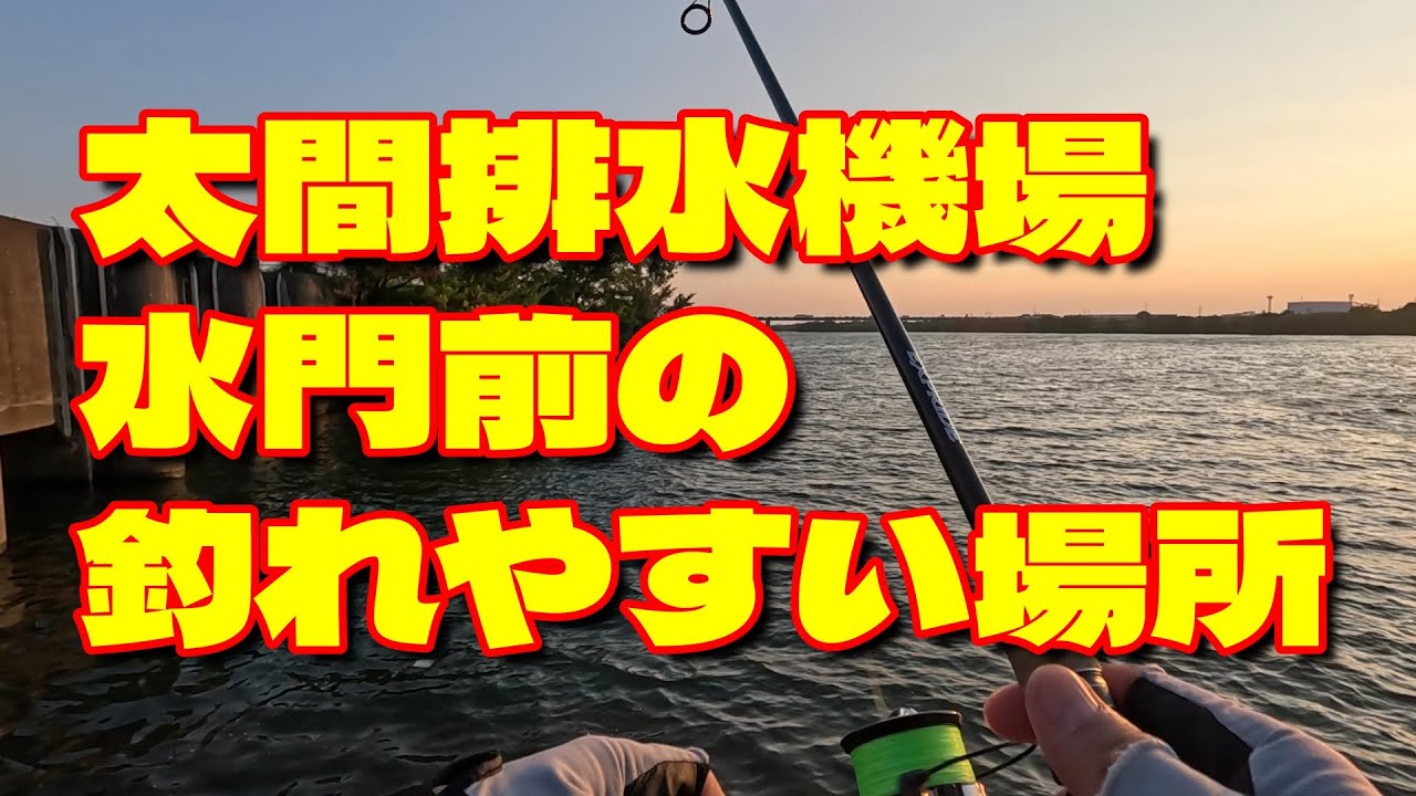 【淀川バス釣り】太間排水機場水門前のバスが集まる釣れやすい場所