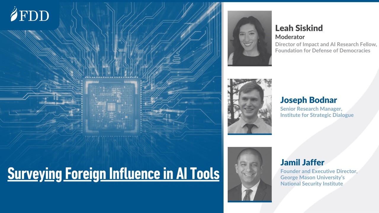 Surveying Foreign Influence in AI Tools