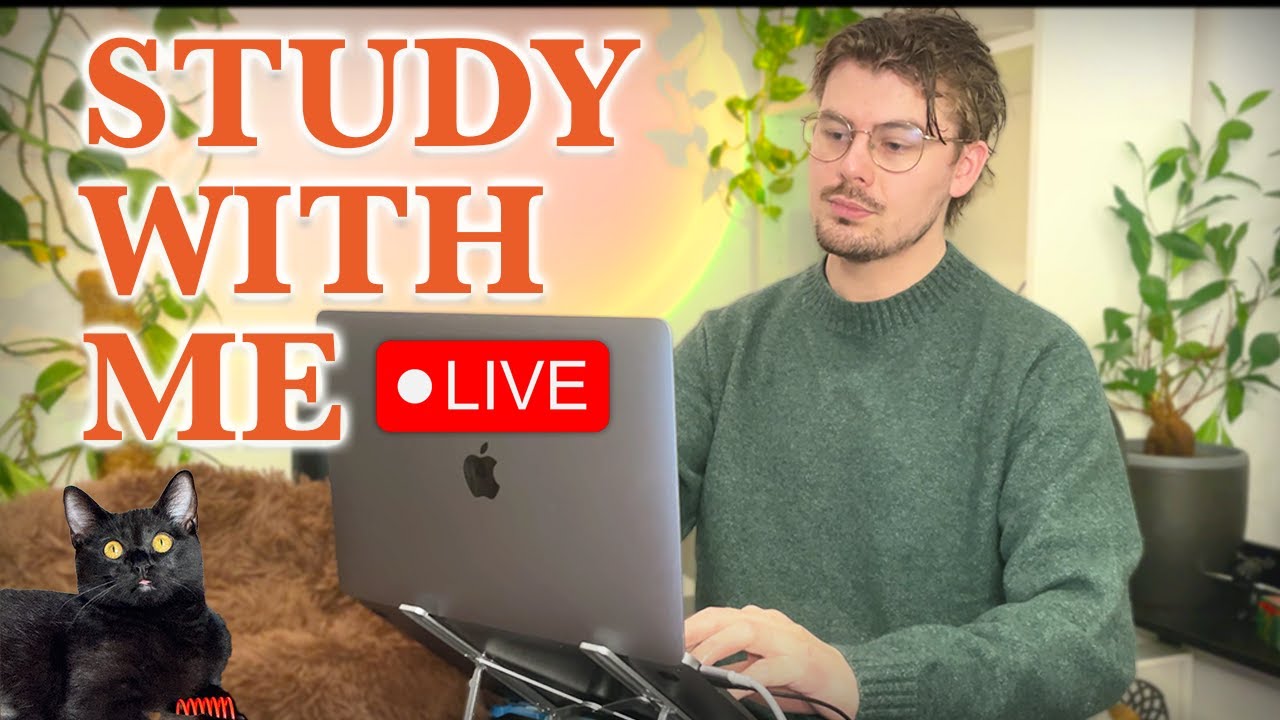 Study With Me LIVE 🚀 13-HOURS — Deep Focus (50/10 Pomodoro) | Cozy UK Rain, No Distractions!