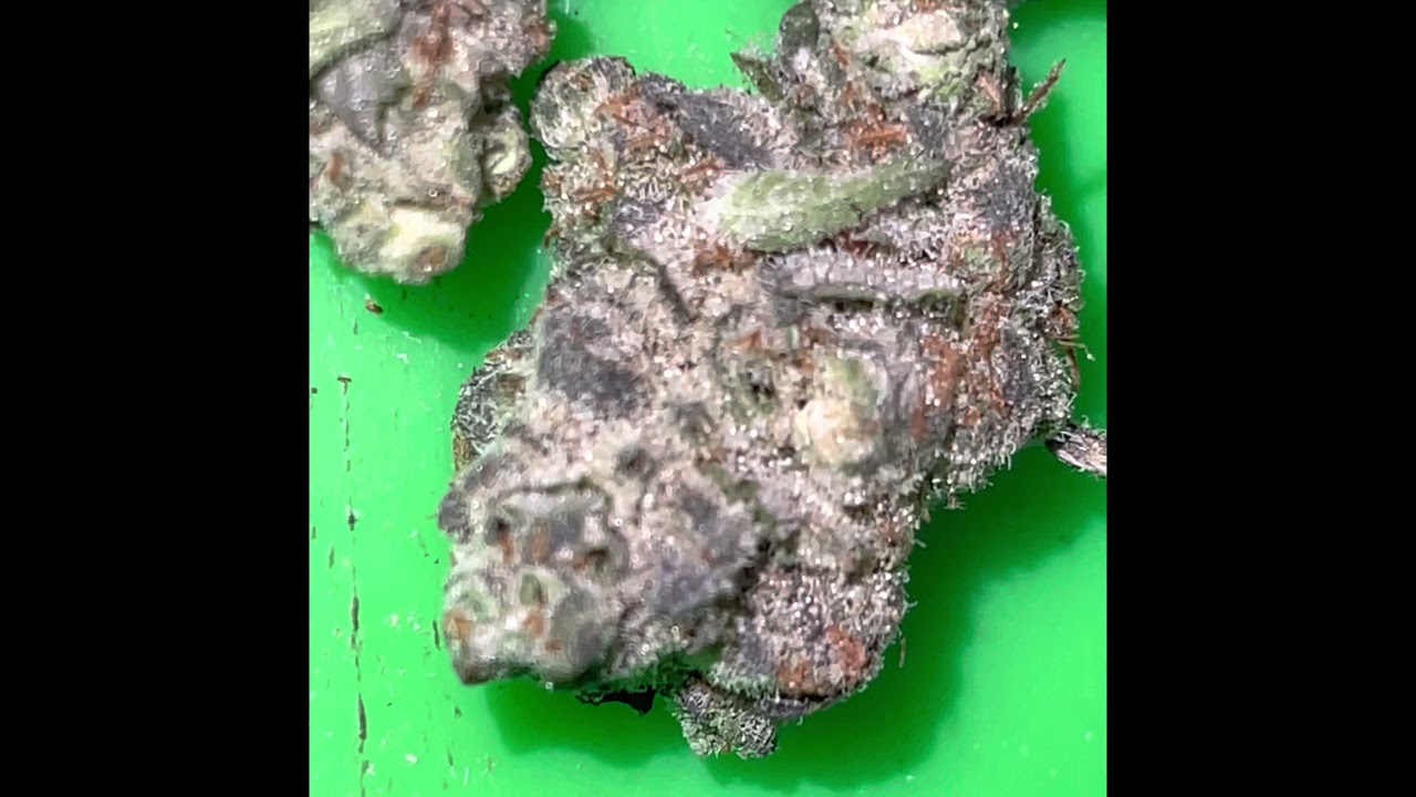 #blueberrypie #strains