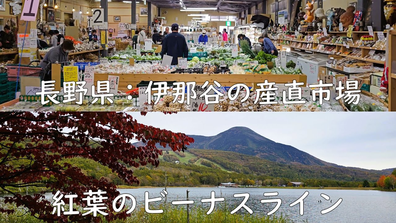 長野県伊那谷の産直市場グリーンファームに行った帰りに、ビーナスラインを通って女神湖（標高1,540ｍ）まで紅葉を見に行ってきました（2024年10月22日）