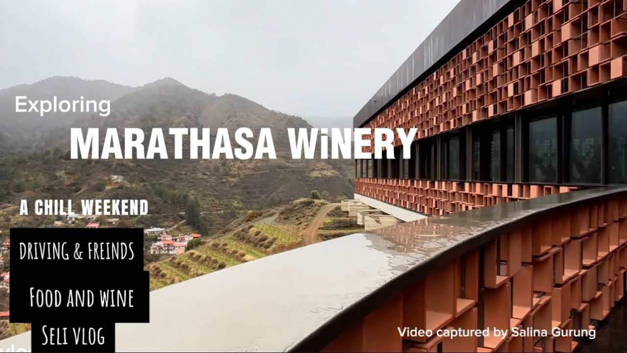 Exploring biggest wine testing in Cyprus || MARATHASA WINERY 🍷