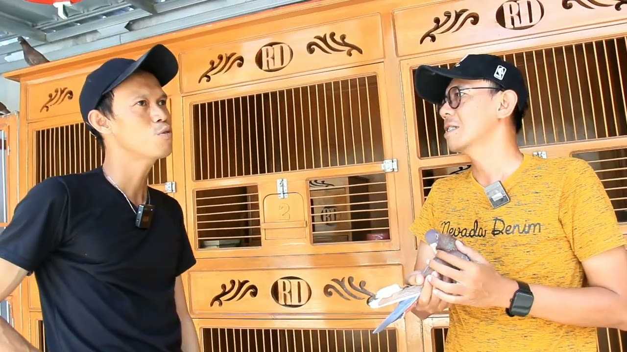 DUET MAUT SANG AYAH DAN ANAKNYA | KL 08 PANGANDARAN ORBITKAN PLAYER GRADE A | LOMNAS PMTI LAPAK KEBO