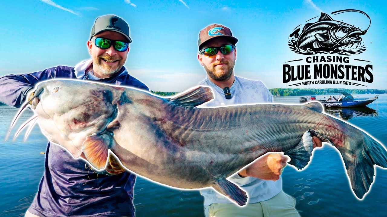 Chasing Blue Monsters - Pursuit For Record Blue Catfish - Official Short Film 
