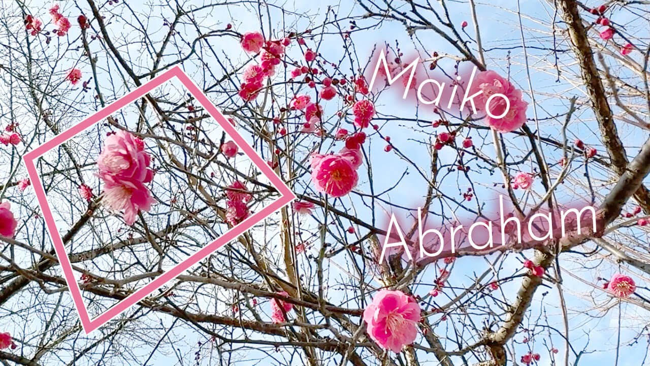 春は来る【エイブラハムの教え】