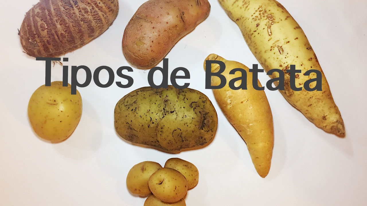 DICAS DA CHEF: Tipos de Batatas