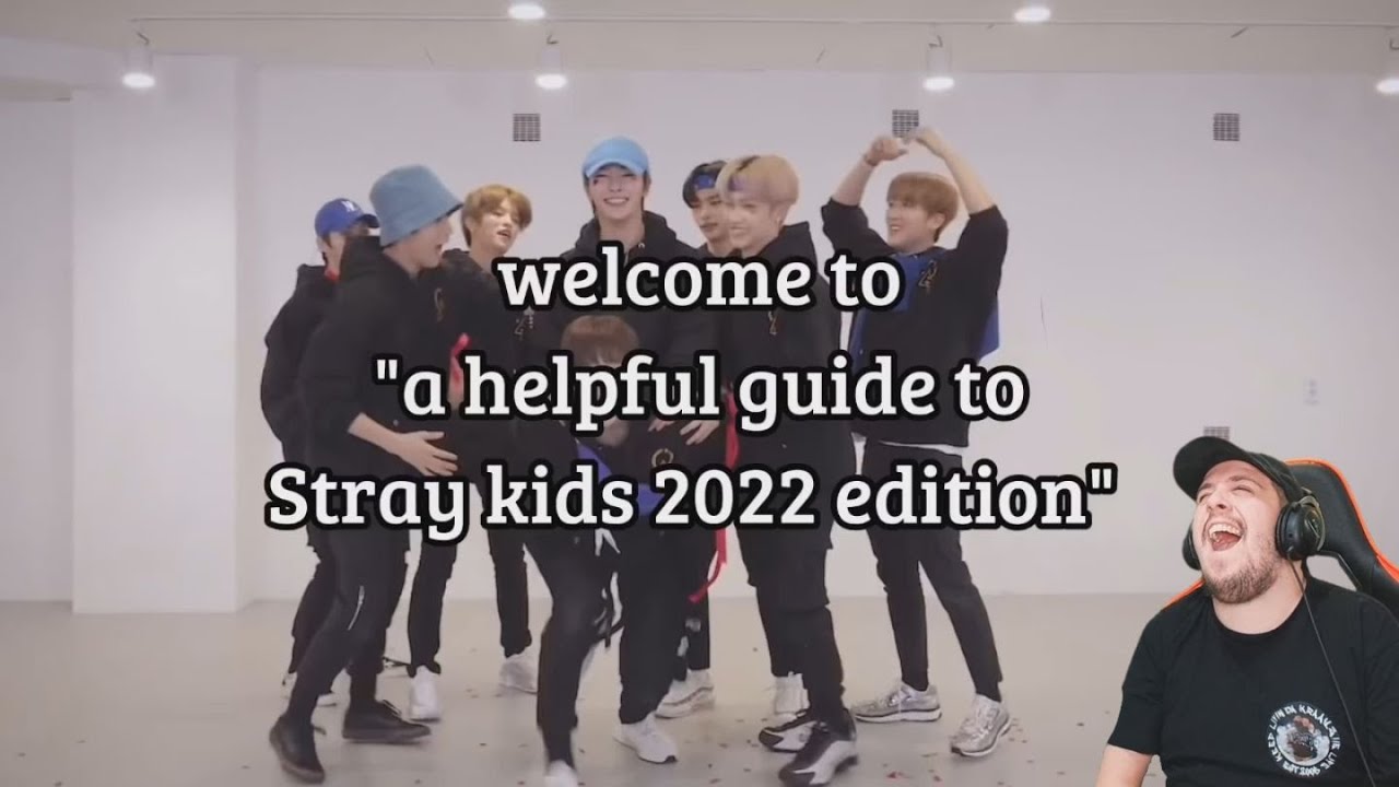 Reaction To A helpful guide to Stray kids 2022 edition