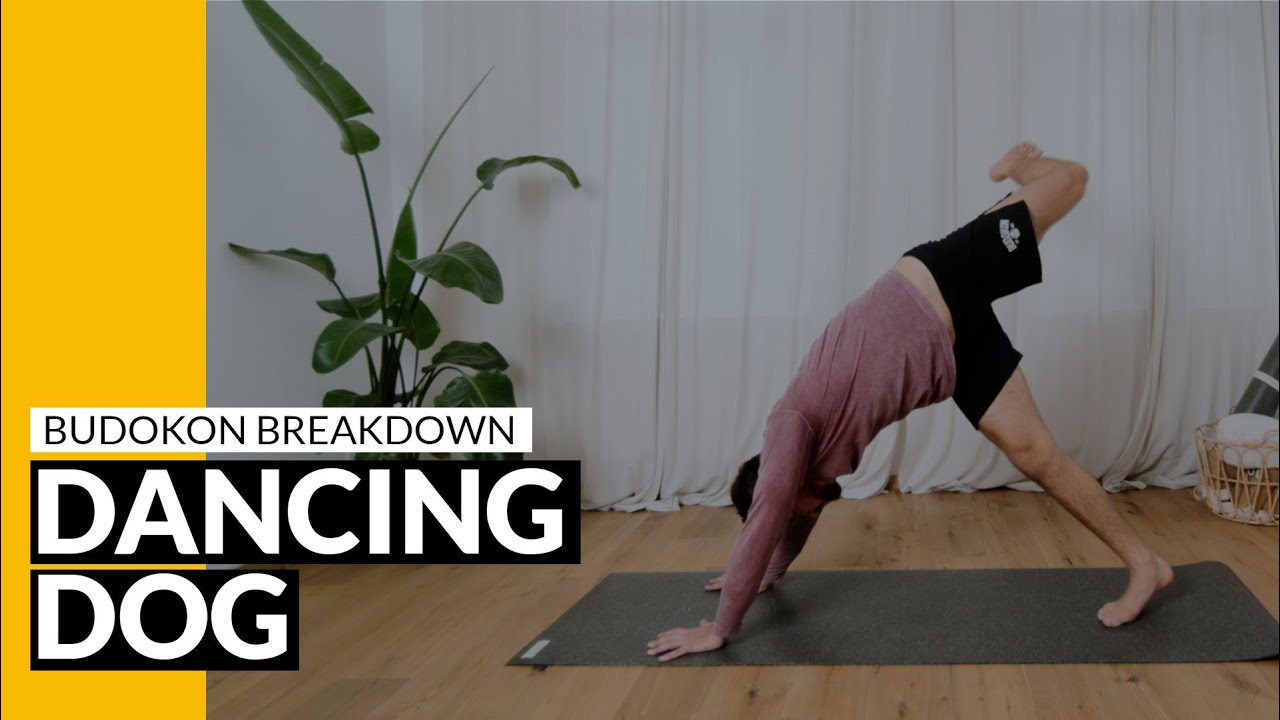 Dancing Dog für Anfänger | Rotation im Herabschauenden Hund | Budokon Yoga lernen auf deutsch