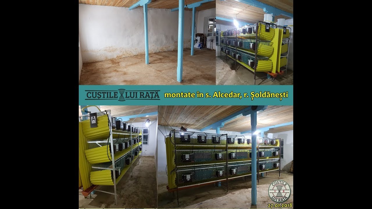 Custile lui Rata - în s. Alcedar, rn. Șoldănești (27.01.2018)