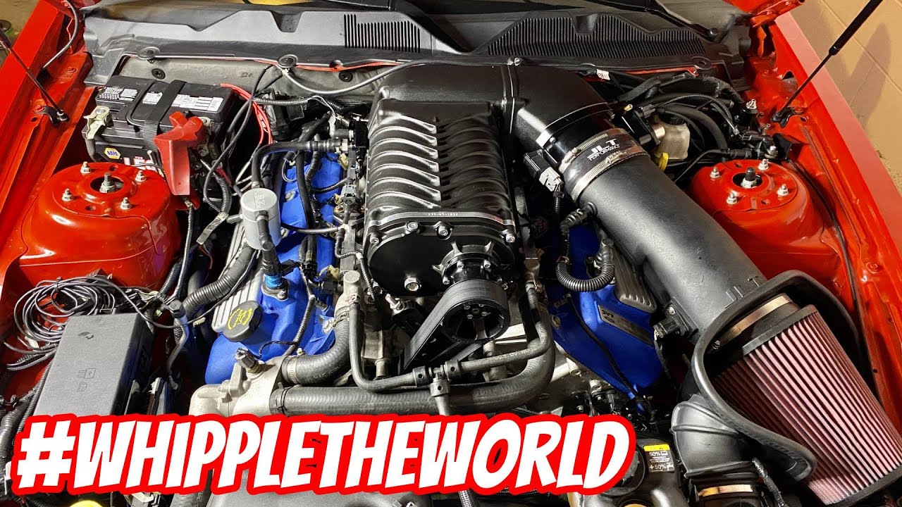 Massive Whipple 3.8L First Start on my Built GT500