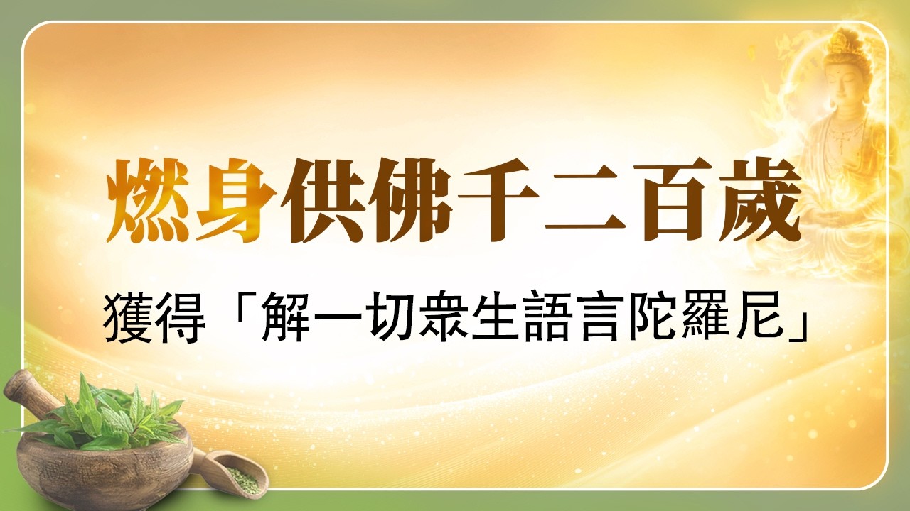 法華經講義(四) 030 藥王菩薩苦行燃身供佛因緣品(二)