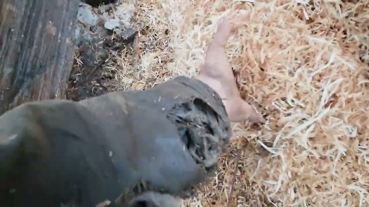 Cutting tips on Cedar post.