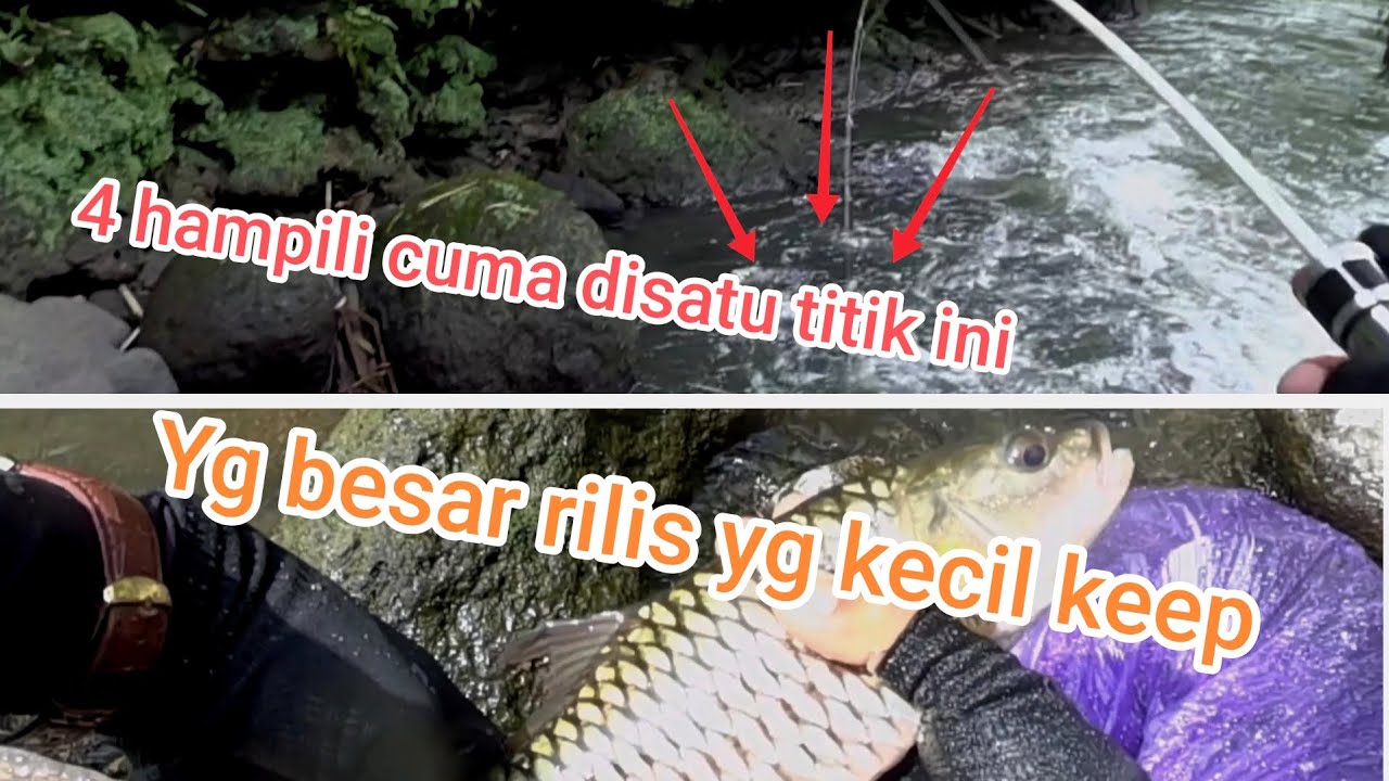 Gak nyangka banyak hampili di aliran ini 💥💥||Waton Uncal #24