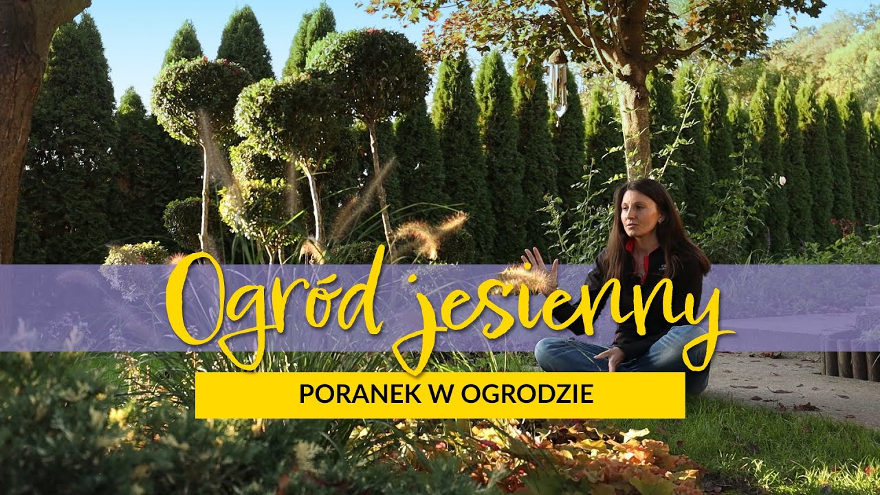 Ogród jesienny - Poranek w Ogrodzie - odc. 8