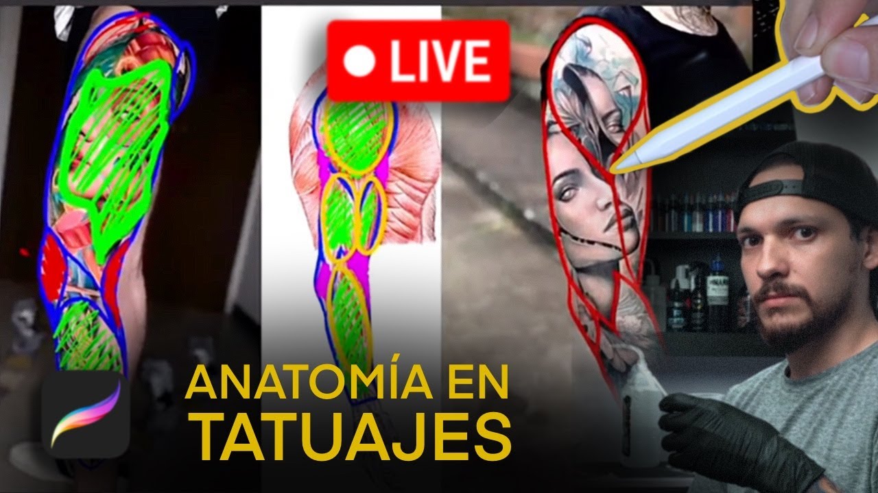 Estudio de anatomía para tatuajes (Básico)
