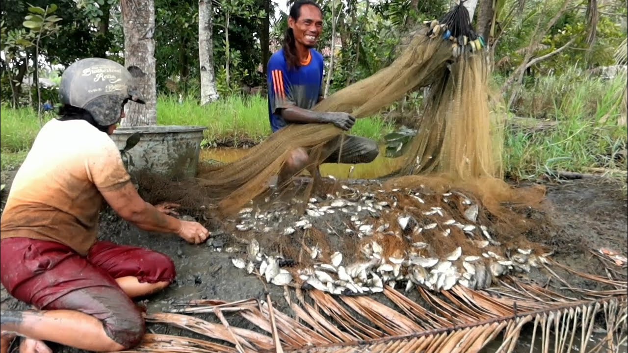Di kira SETINGAN surganya ikan PUTIH