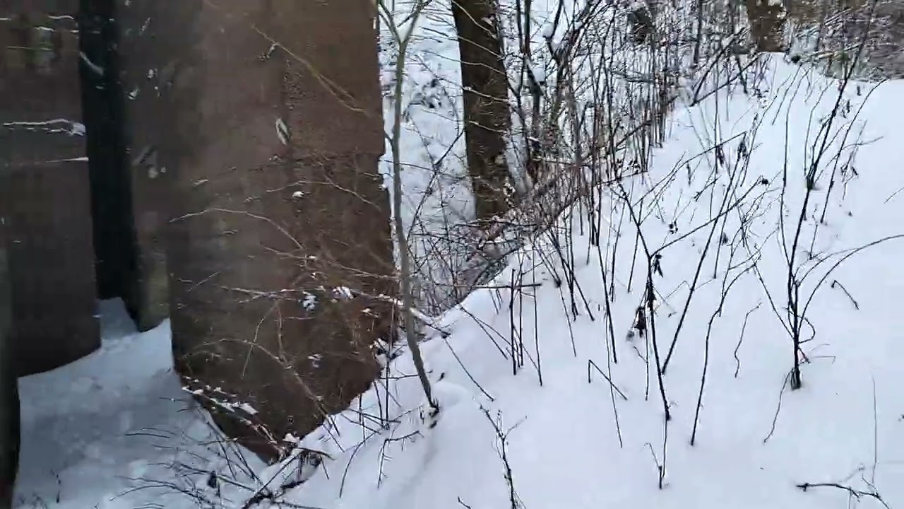 Dolny Śląsk. W drodze na Włodzicką Górę. 3.01.2026r. 