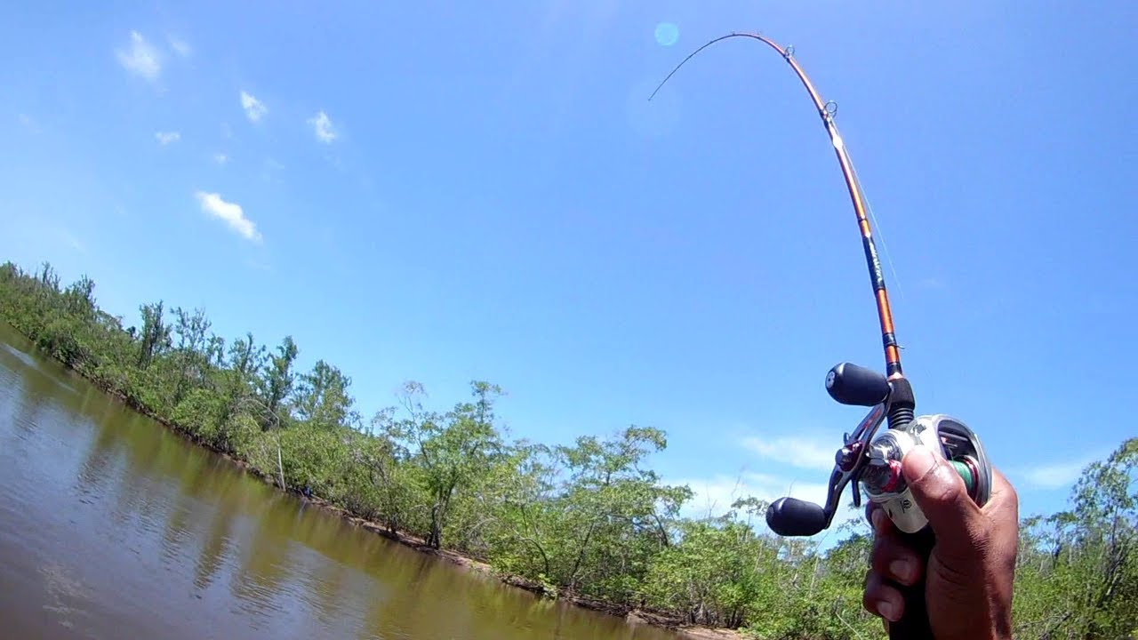 PESCA DO ROBALO EM ITAPORANGA D'AJUDA SERGIPE