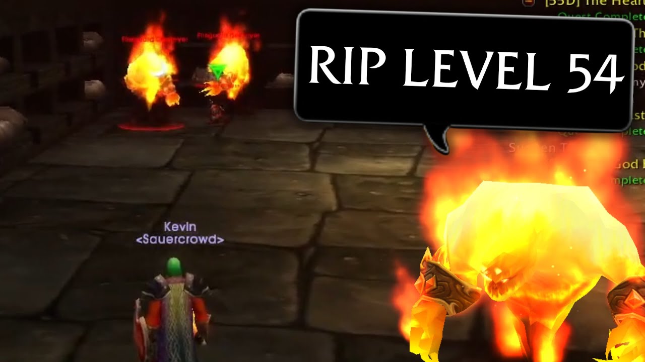 SauerCrowd Hardcore Moments 16 💀