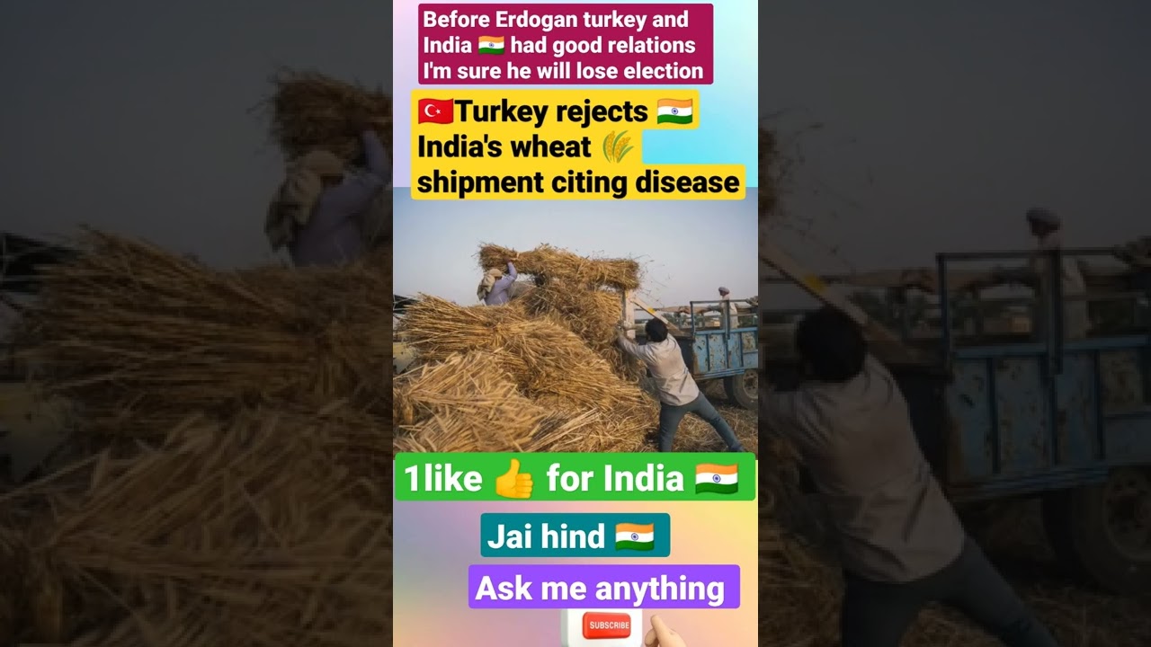 Turkey rejected Indian wheat