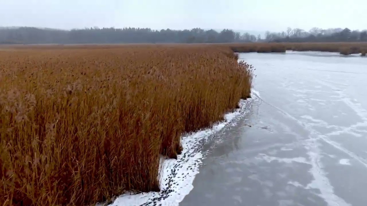 Novozámecký pond