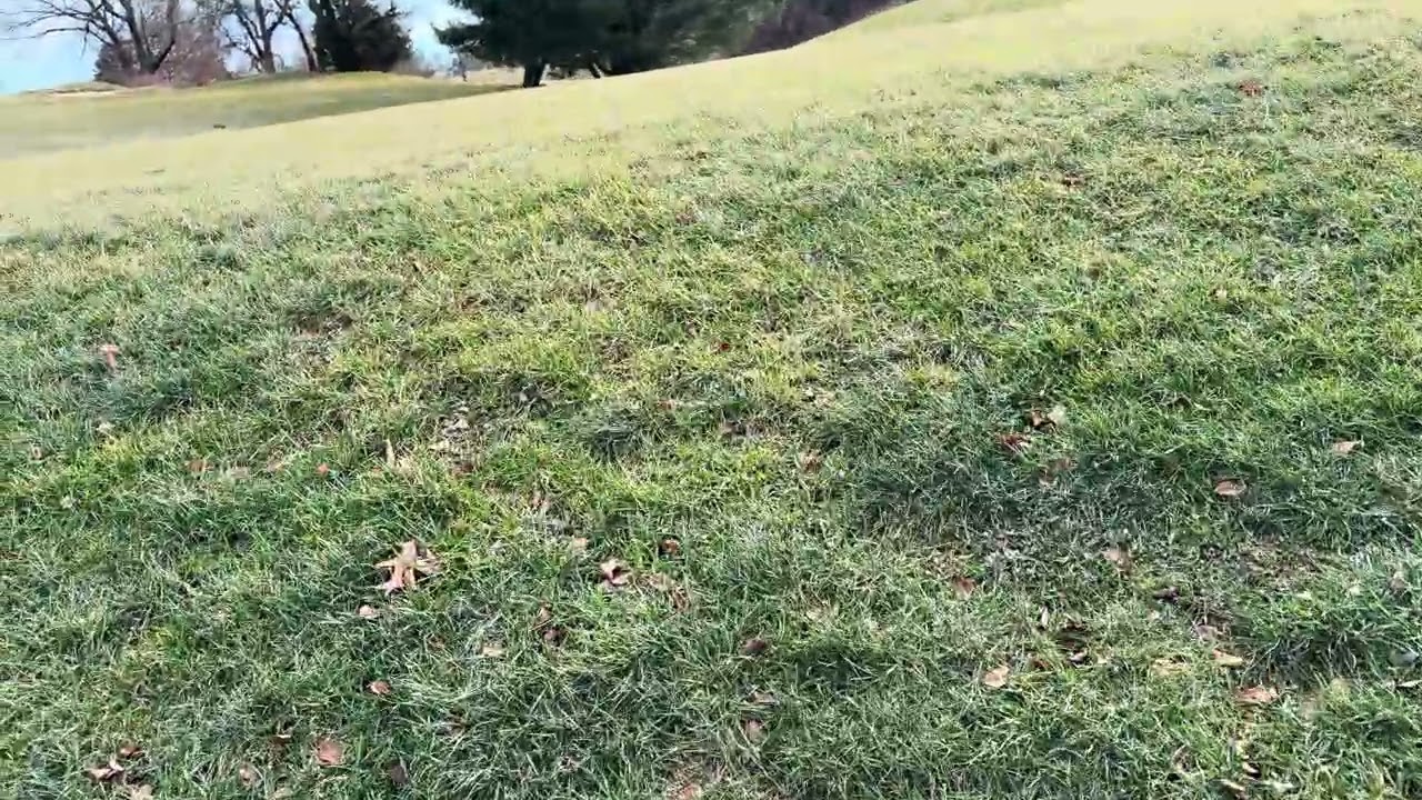 This is where we went sledding let me know if you have any questions, buddy