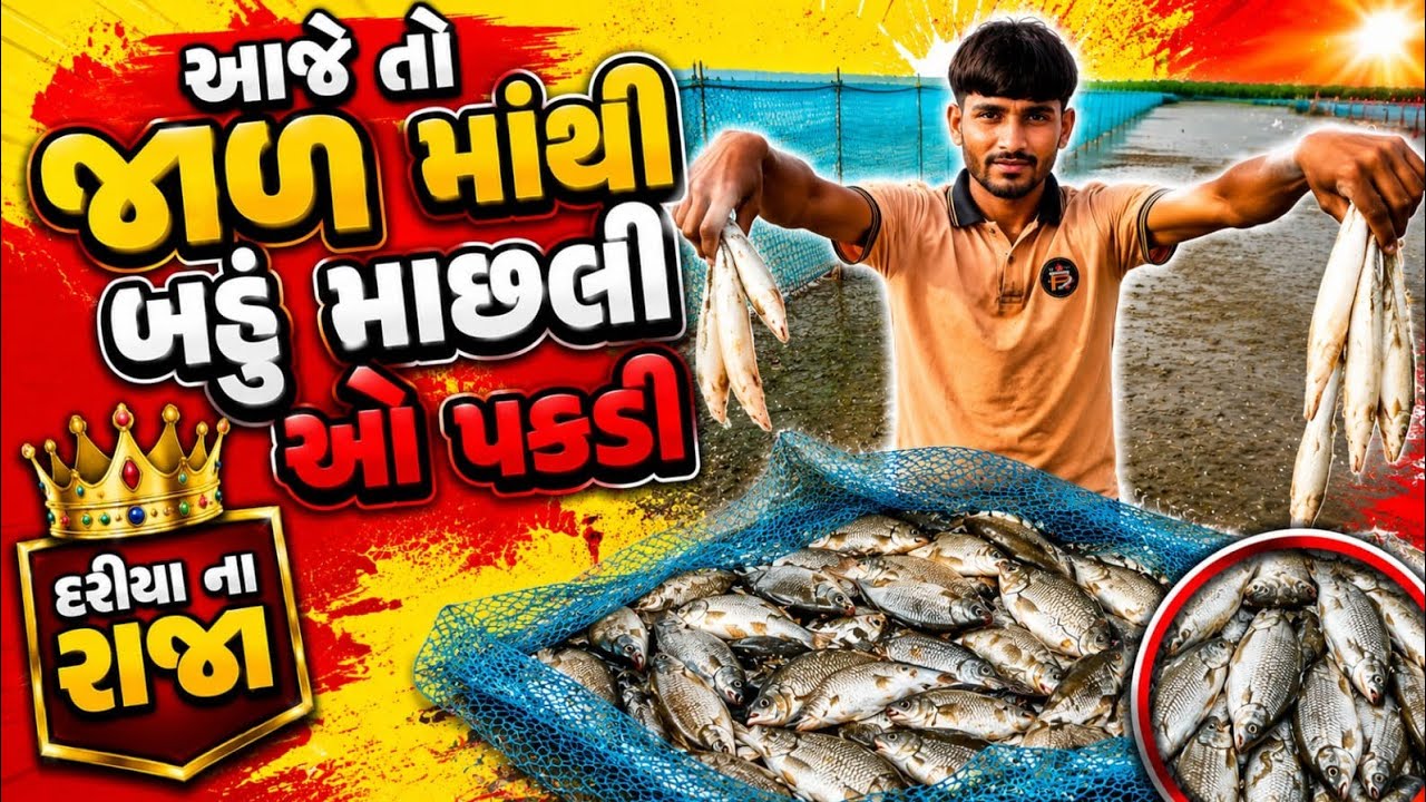 આજે તો બંધણ માથી બહુ મોટી માછલી ઓ પકડી#bigfish#fishing#દરીયા ના રાજા#