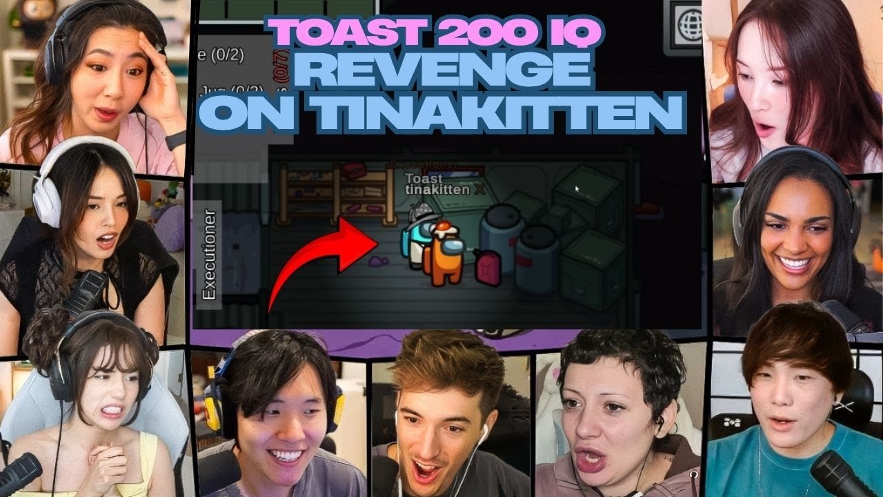 (Multi POV) Toast 200 IQ Revenge on Tinakitten  Crazy Executioner Play Getting Sykkuno & Poki Killed