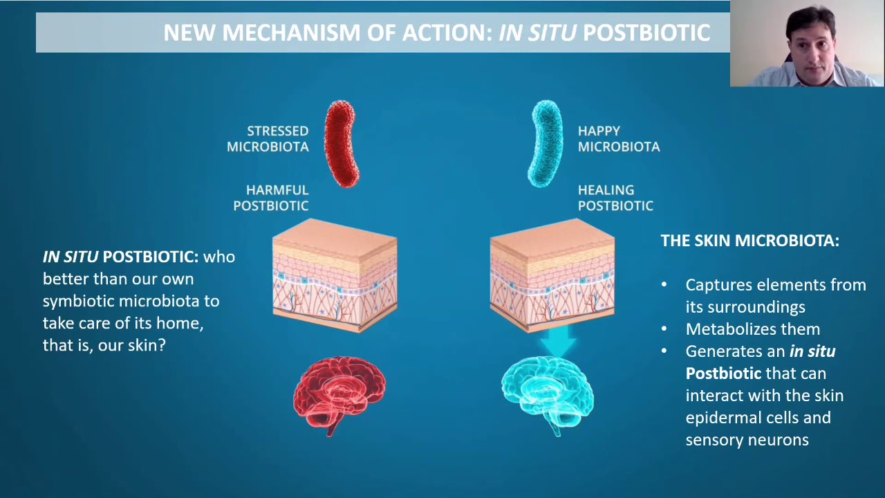 CANNABIS SATIVA STEM CELLS, MICROBIOTA & NEUROCOSMETICS