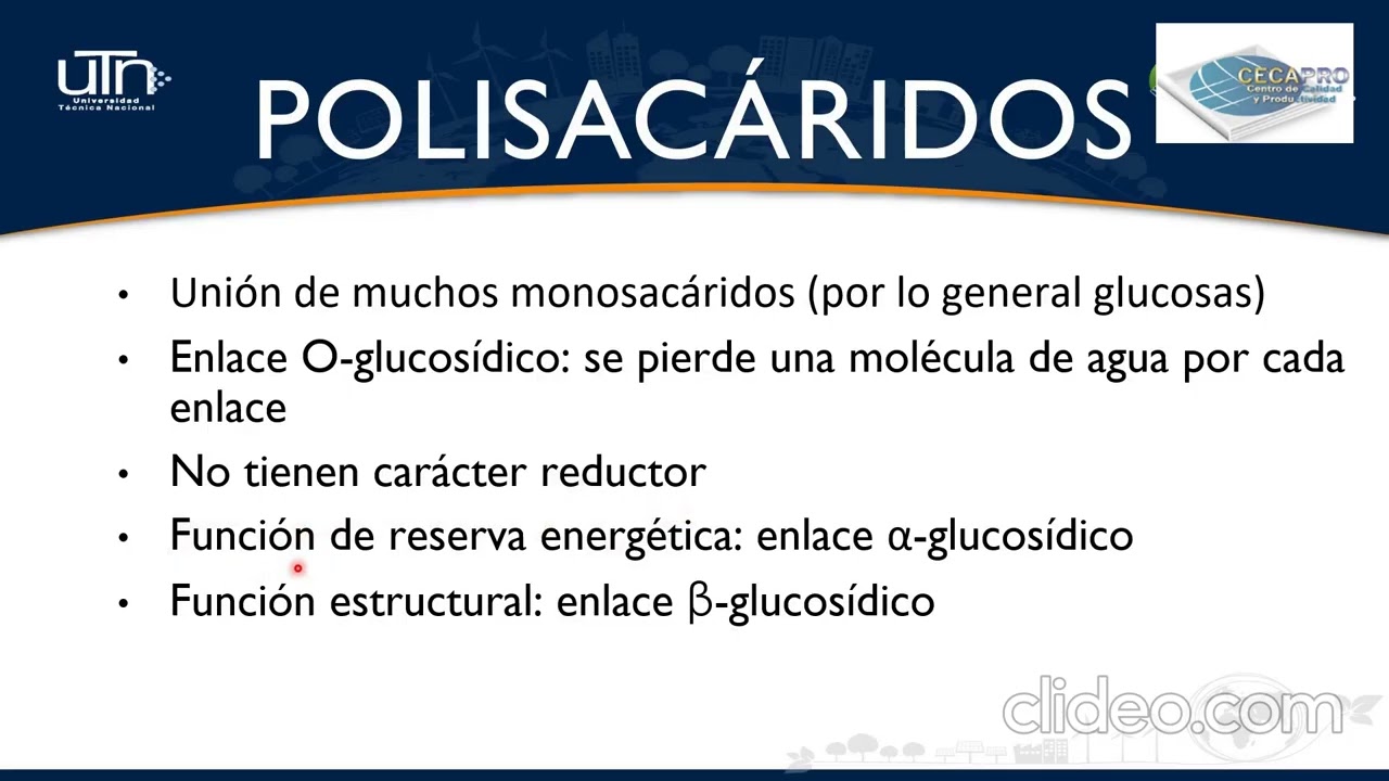 Carbohidratos parte 2