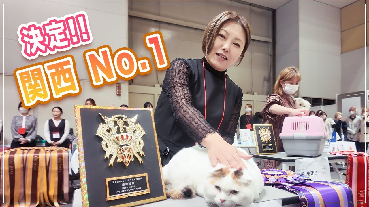 関西初 第２回猫トリミング競技会で関西ナンバーワンが決定！