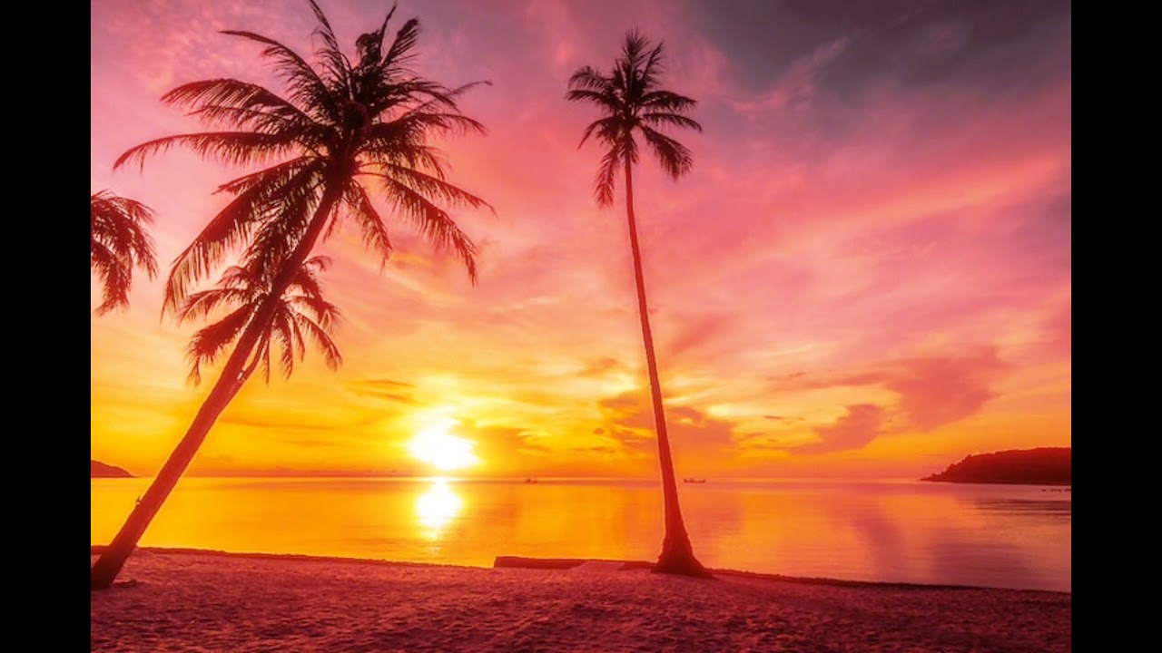 Sunset Low Rays