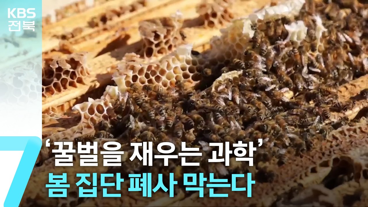 &lsquo;꿀벌을 재우는 과학&rsquo;&hellip;봄 집단 폐사 막는다 / KBS  2026.04.09.