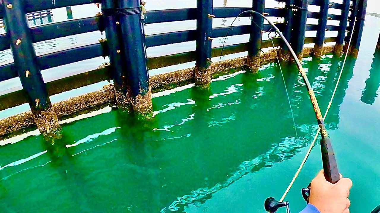 CLEAR WATER Tautog and Sheepshead Fishing