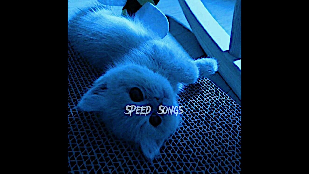 I got love - speed up