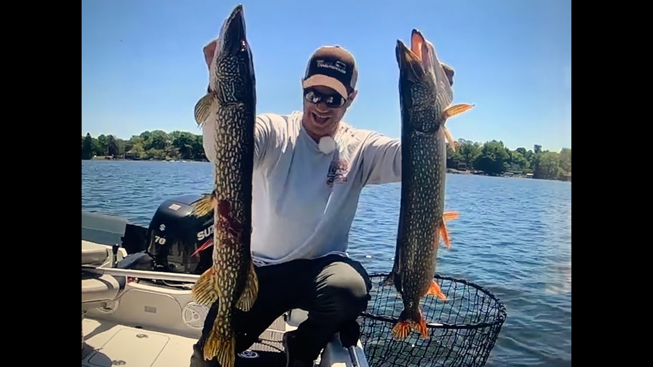 How to Use Spoonplugs to Catch Lots of Northern Pike
