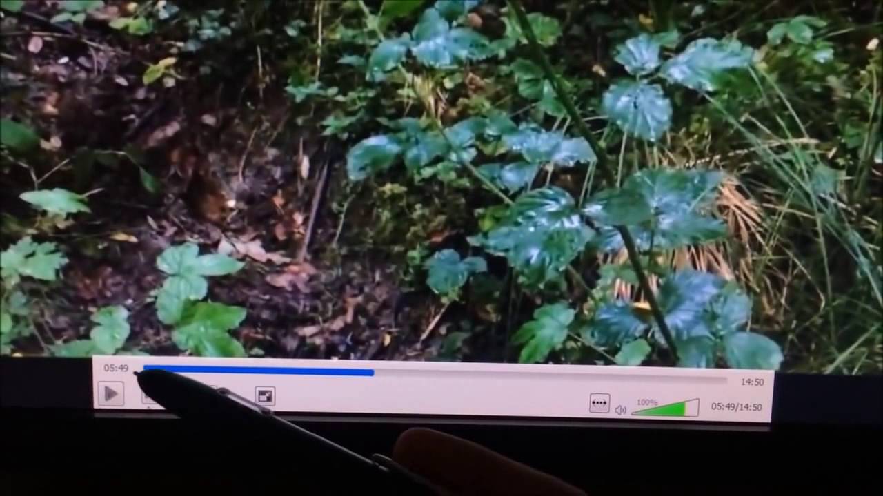 British Bigfoot Research - The first UK footage??