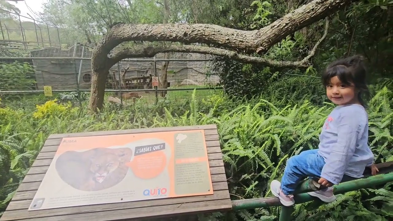 Conozcamos el Zoológico de Guayllabamba