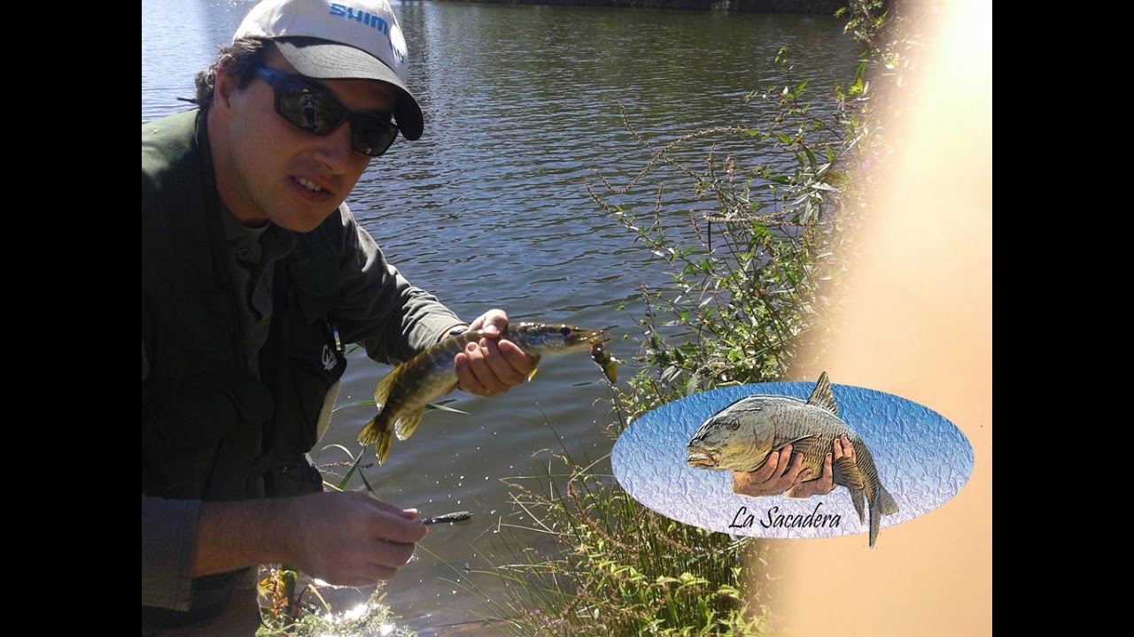 Pesca del Lucios, Consejos Básicos.