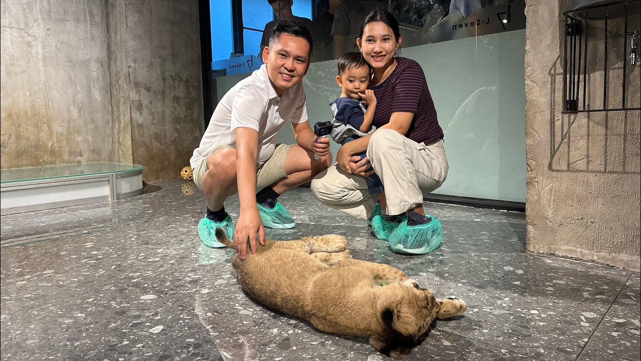 L-Seven Pet cafe at Bangkok #petcafe #bangkok #bangkokthailand #bangkoktravel