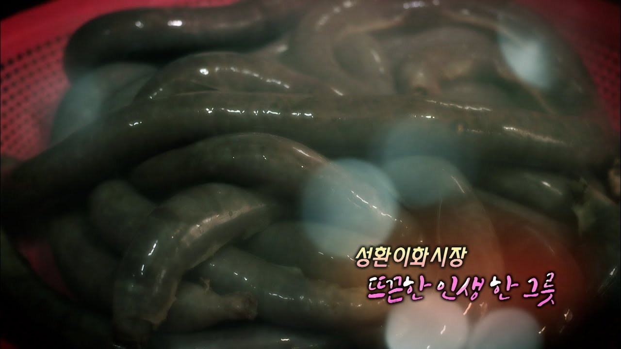 [테마다큐 현장속으로] 성환이화시장 뜨끈한 인생 한 그릇 / KBS대전 20161115 방송