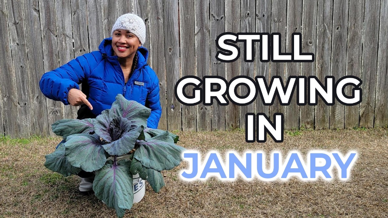 What's Surviving the Winter- January Garden Update